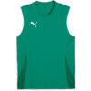 Puma teamGoal 24 SL Training Jersey - Sport Green
