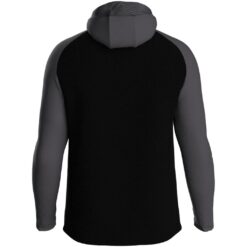 Alternative view of Jako Iconic Kapuzenjacke  - schwarz/anthrazit