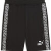 Puma teamKing Shorts - puma black