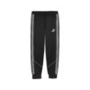 Puma teamKing Anthem Pant Jogginghose - puma black