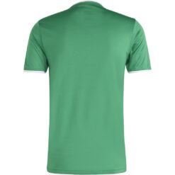 Alternative view of adidas Entrada 26 Trikot Jersey - team green/white
