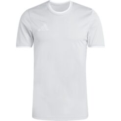 adidas Entrada 26 Trikot Jersey - team light grey/white