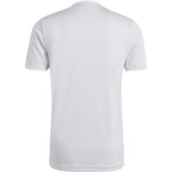 Alternative view of adidas Entrada 26 Trikot Jersey - team light grey/white