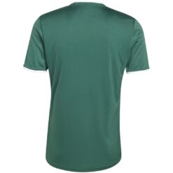 Alternative view of adidas Entrada 26 Trikot Jersey - team dark green/white
