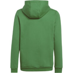 Alternative view of adidas Entrada 26 Hoody Kapuzensweat - team green/white